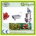 Date Processing machine making for all kinds of date or jujube